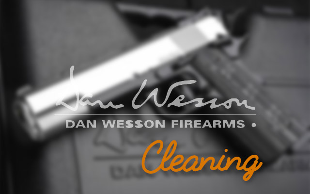 Dan Wesson Valor Commander cleaning